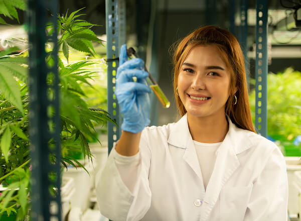 A woman in a lab coat and gloves holds a test tube in a greenhouse with cannabis plants.