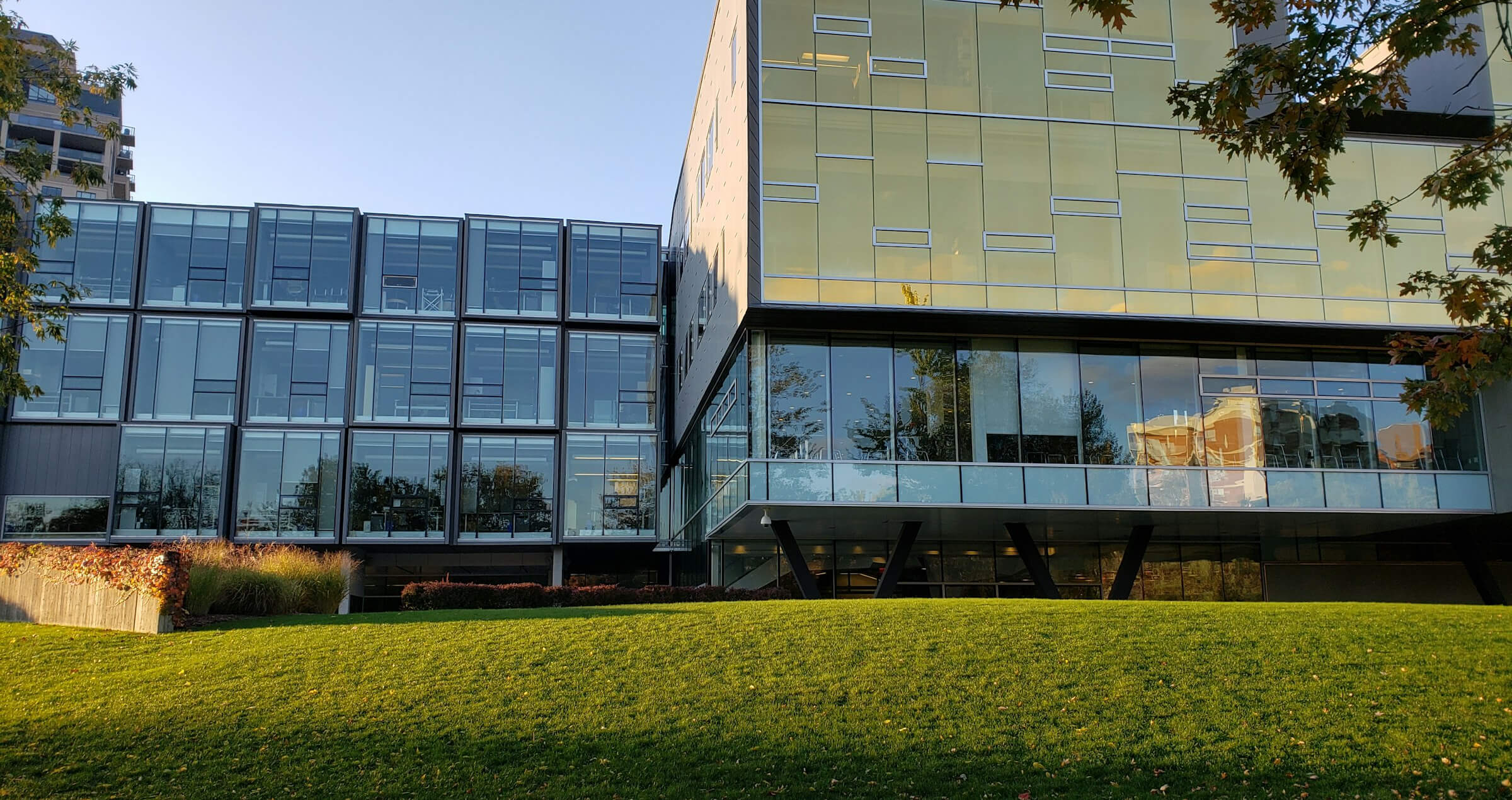 Modern office buildings with reflective glass facades on a sunny day with green lawn in the foreground.
